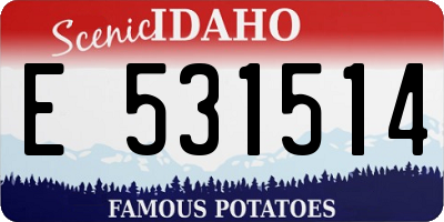 ID license plate E531514