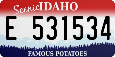 ID license plate E531534