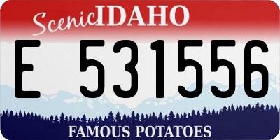ID license plate E531556