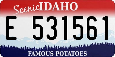 ID license plate E531561