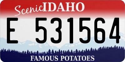ID license plate E531564