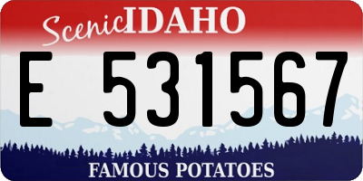 ID license plate E531567