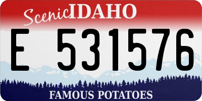 ID license plate E531576