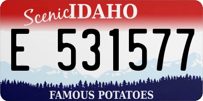 ID license plate E531577