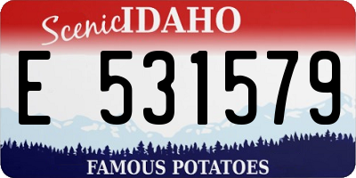 ID license plate E531579