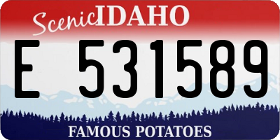 ID license plate E531589
