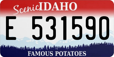 ID license plate E531590