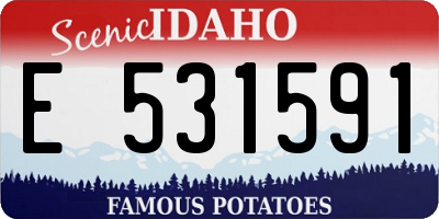 ID license plate E531591