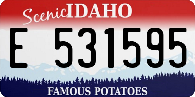 ID license plate E531595