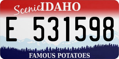 ID license plate E531598