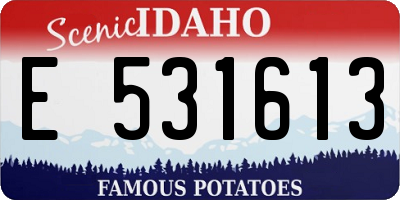 ID license plate E531613