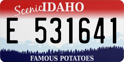 ID license plate E531641
