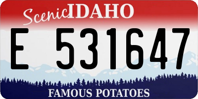 ID license plate E531647