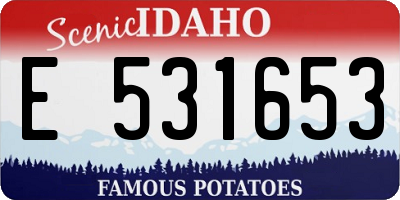 ID license plate E531653