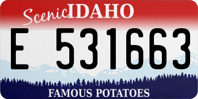 ID license plate E531663