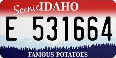 ID license plate E531664