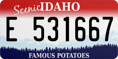ID license plate E531667