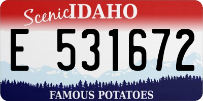 ID license plate E531672