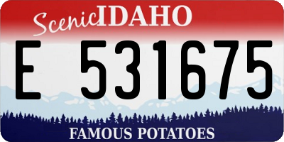 ID license plate E531675