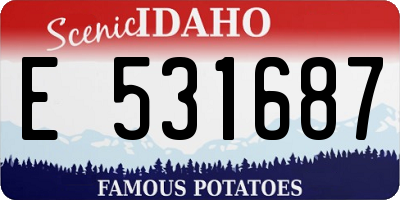 ID license plate E531687
