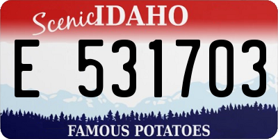 ID license plate E531703