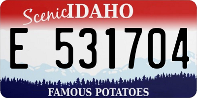 ID license plate E531704