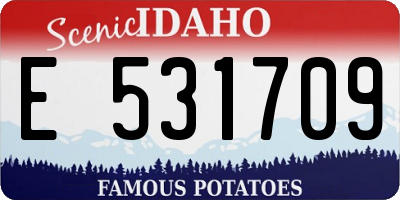 ID license plate E531709
