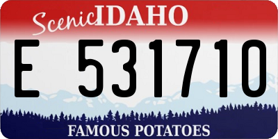 ID license plate E531710