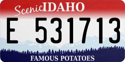 ID license plate E531713