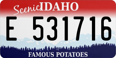 ID license plate E531716