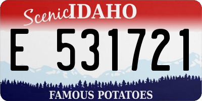 ID license plate E531721