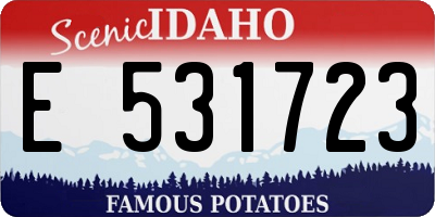 ID license plate E531723