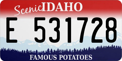 ID license plate E531728