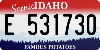 ID license plate E531730