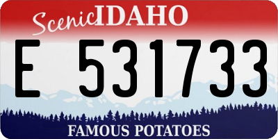 ID license plate E531733