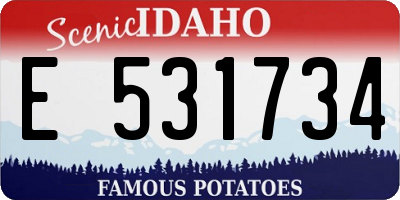 ID license plate E531734