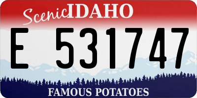 ID license plate E531747