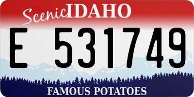 ID license plate E531749