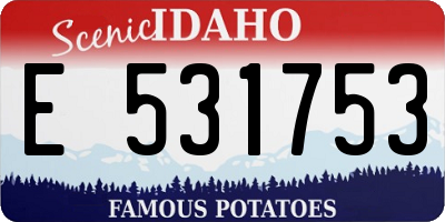 ID license plate E531753