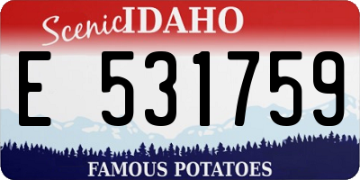 ID license plate E531759