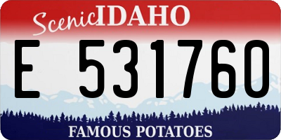 ID license plate E531760