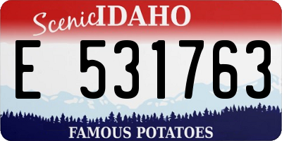 ID license plate E531763