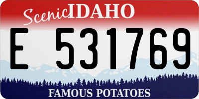 ID license plate E531769