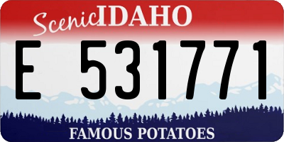 ID license plate E531771