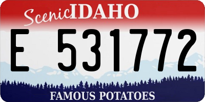 ID license plate E531772