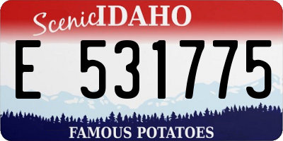 ID license plate E531775