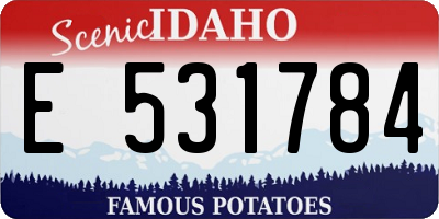 ID license plate E531784