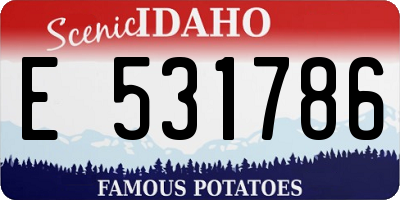 ID license plate E531786