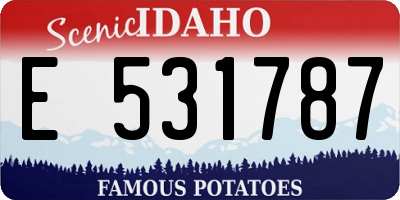 ID license plate E531787