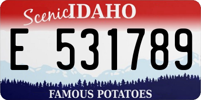 ID license plate E531789